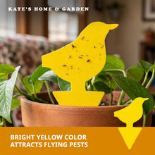 Load image into Gallery viewer, 36ct Yellow Sticky Traps